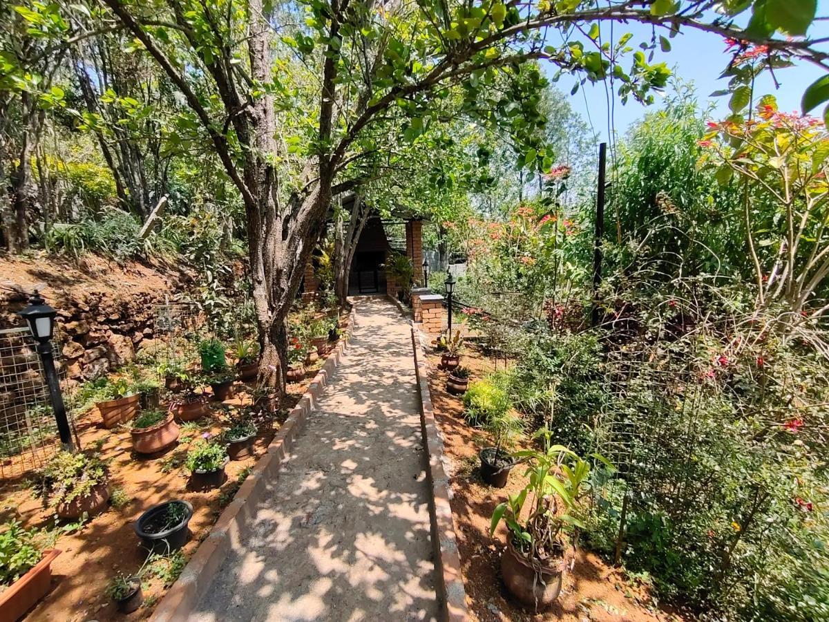 Silver Spruce Entire Nature Villa โกตากิริ ภายนอก รูปภาพ